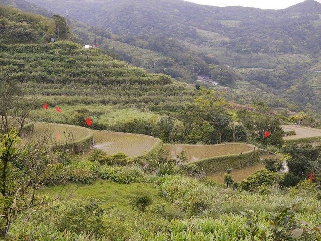 2018-03-24 10-17-07(001).jpg - 20180324_貢寮_桃源谷
