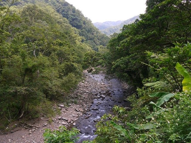 2017-09-17 12-29-26(001).jpg - 20170917_坪林_金瓜寮溪魚蕨步道