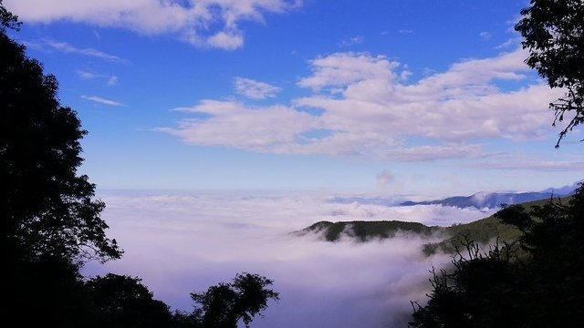 2019-11-22 15-39-22(001).jpg - 20191122_觀霧_檜山巨木步道_回程