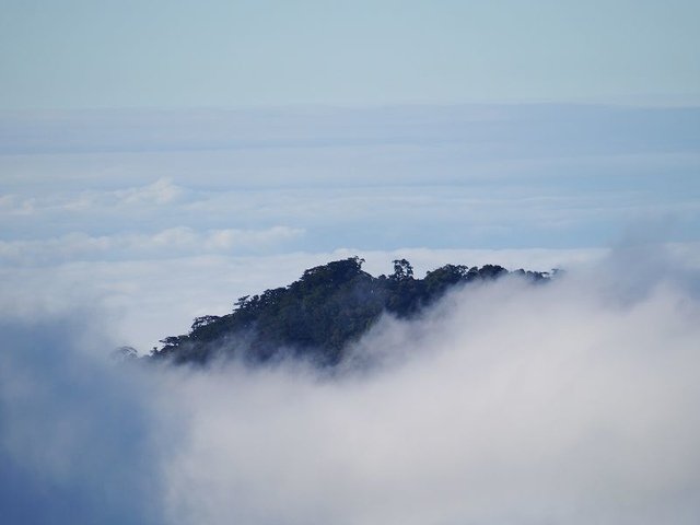 2019-11-22 15-27-44(001).jpg - 20191122_觀霧_檜山巨木步道_回程