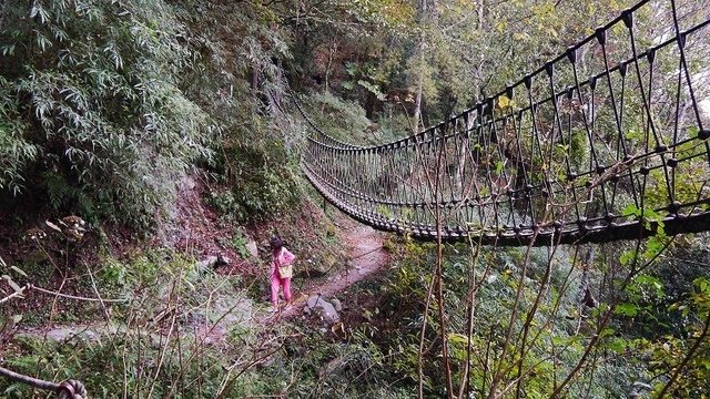 2019-11-22 15-34-52(001).jpg - 20191122_觀霧_檜山巨木步道_回程