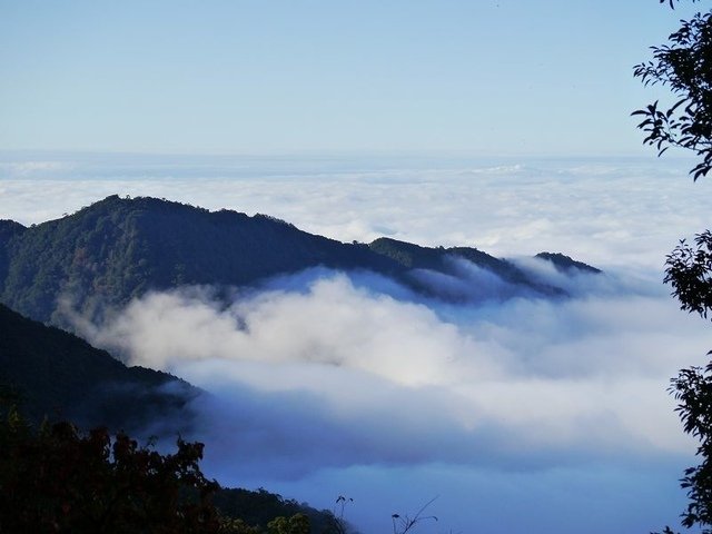 2019-11-22 15-47-16(001).jpg - 20191122_觀霧_檜山巨木步道_回程