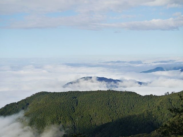 2019-11-22 15-51-45(001).jpg - 20191122_觀霧_檜山巨木步道_回程