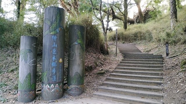 2019-11-22 16-09-59(001).jpg - 20191122_觀霧_檜山巨木步道_回程