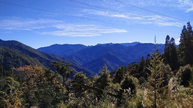 2019-11-23 09-33-00(001).jpg - 20191123_觀霧_榛山步道_大鹿林道西線