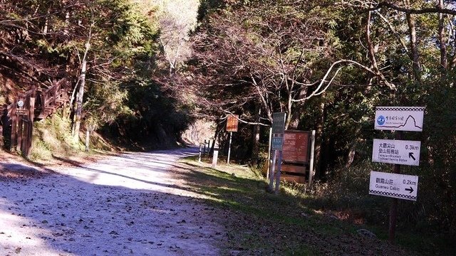 2019-11-23 14-38-25(001).jpg - 20191123_觀霧_榛山步道_大鹿林道西線