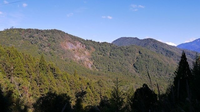 2019-11-23 14-10-22(001).jpg - 20191123_觀霧_榛山步道_大鹿林道西線