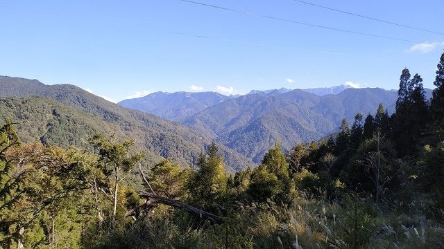 2019-11-23 14-12-27(001).jpg - 20191123_觀霧_榛山步道_大鹿林道西線