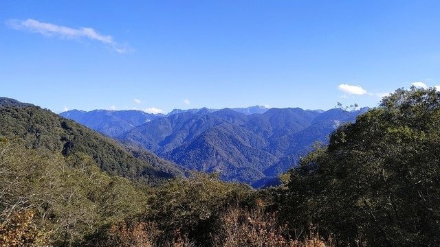 2019-11-23 14-24-08(001).jpg - 20191123_觀霧_榛山步道_大鹿林道西線