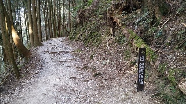 2019-11-22 14-46-49(001).jpg - 20191122_觀霧_檜山巨木步道_回程