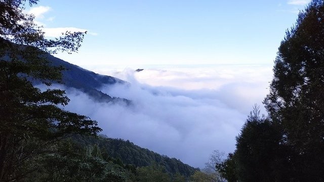 2019-11-22 15-27-36(001).jpg - 20191122_觀霧_檜山巨木步道_回程