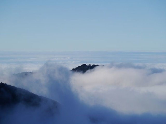 2019-11-22 15-27-52(001).jpg - 20191122_觀霧_檜山巨木步道_回程