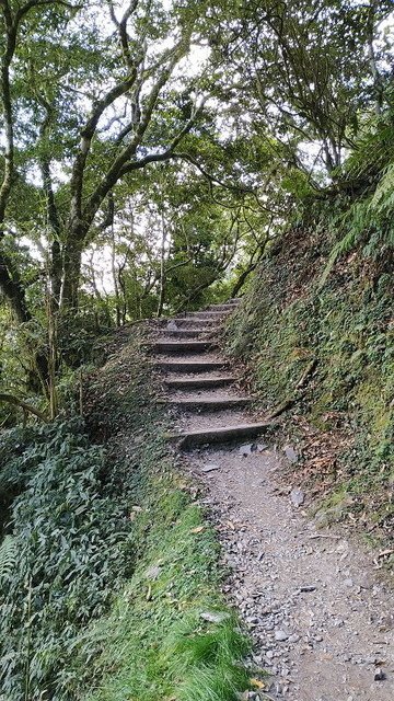 2019-11-22 15-35-28(001).jpg - 20191122_觀霧_檜山巨木步道_回程