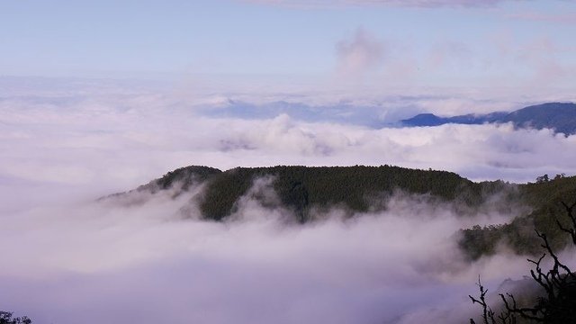 2019-11-22 15-39-17(001).jpg - 20191122_觀霧_檜山巨木步道_回程