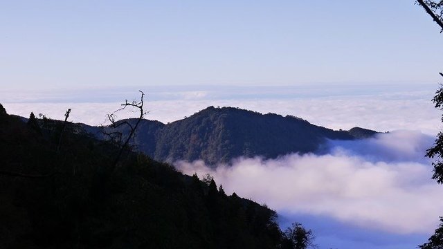 2019-11-22 15-44-08(001).jpg - 20191122_觀霧_檜山巨木步道_回程