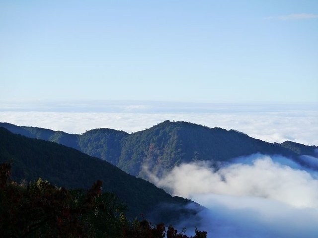 2019-11-22 15-47-12(001).jpg - 20191122_觀霧_檜山巨木步道_回程