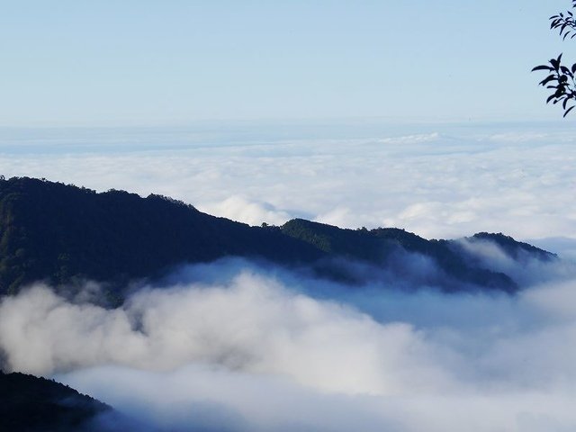 2019-11-22 15-47-57(001).jpg - 20191122_觀霧_檜山巨木步道_回程