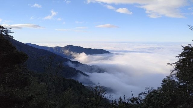 2019-11-22 16-00-11(001).jpg - 20191122_觀霧_檜山巨木步道_回程