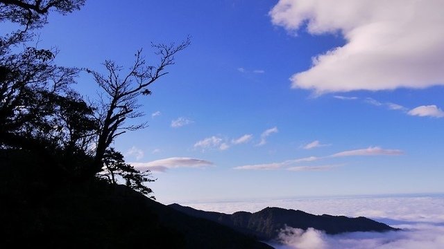 2019-11-22 16-01-51(001).jpg - 20191122_觀霧_檜山巨木步道_回程