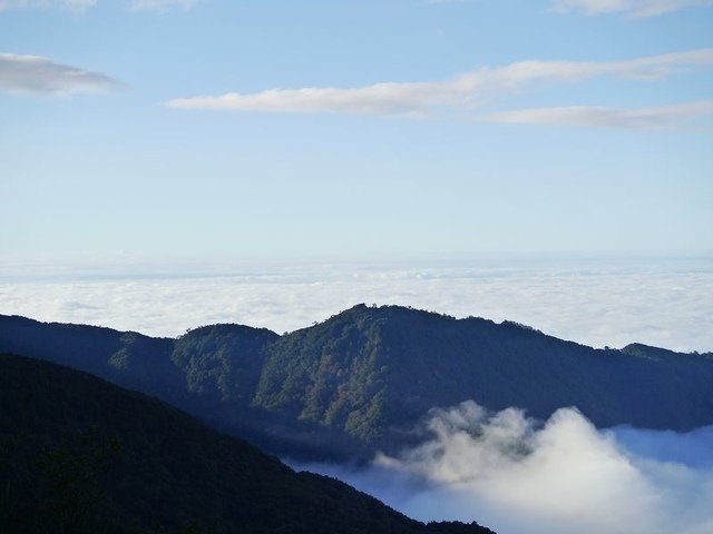 2019-11-22 16-03-13(001).jpg - 20191122_觀霧_檜山巨木步道_回程