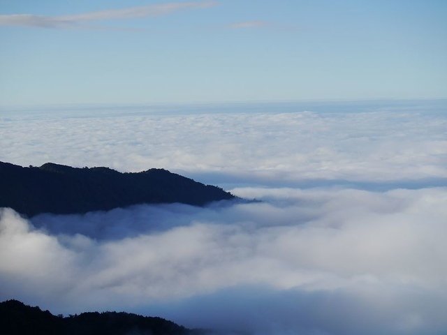 2019-11-22 16-03-45(001).jpg - 20191122_觀霧_檜山巨木步道_回程