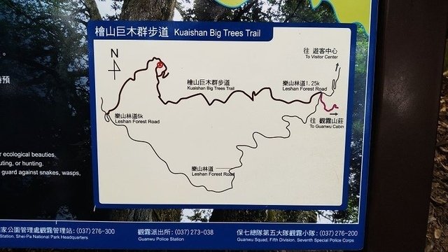 2019-11-22 14-10-10(001).jpg - 20191122_觀霧_檜山巨木步道_巨木區