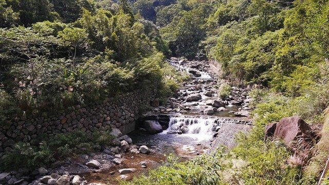 2019-11-09 10-57-23(001).jpg - 20191109_三峽_滿月圓_健行步道