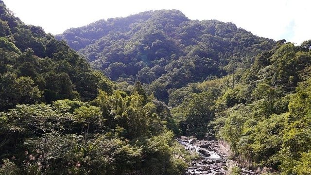 2019-11-09 10-57-27(001).jpg - 20191109_三峽_滿月圓_健行步道