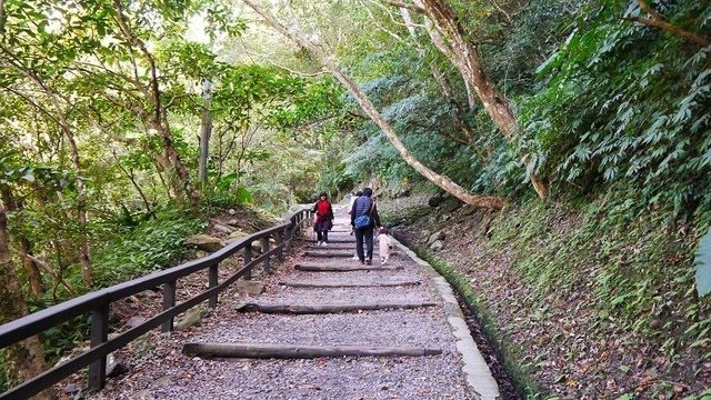 2019-11-09 12-08-05(001).jpg - 20191109_三峽_滿月圓_健行步道