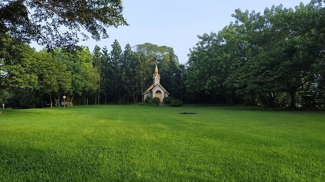 2019-08-24 06-50-46(001).jpg - 20190824_通霄_飛牛牧場