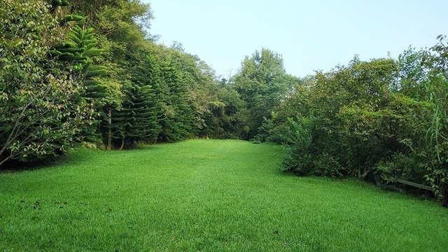 2019-08-24 06-56-17(001).jpg - 20190824_通霄_飛牛牧場