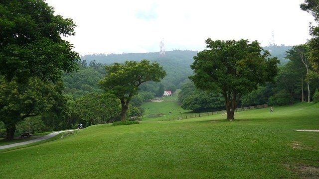 2019-08-24 09-11-02(001).jpg - 20190824_通霄_飛牛牧場_早餐