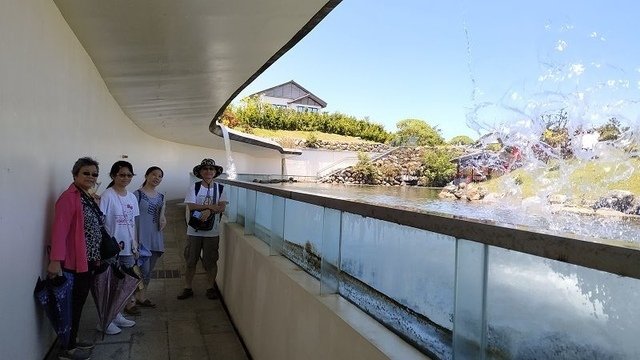 2019-08-03 12-43-28(001).jpg - 20190803_宜蘭_五結_綠舞國際觀光飯店_退房