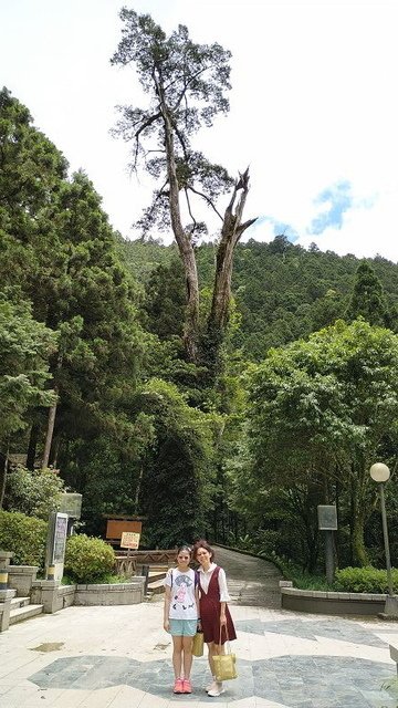 2019-05-31 11-37-45(001).jpg - 20190531_宜蘭_明池森林遊樂區_明池山莊