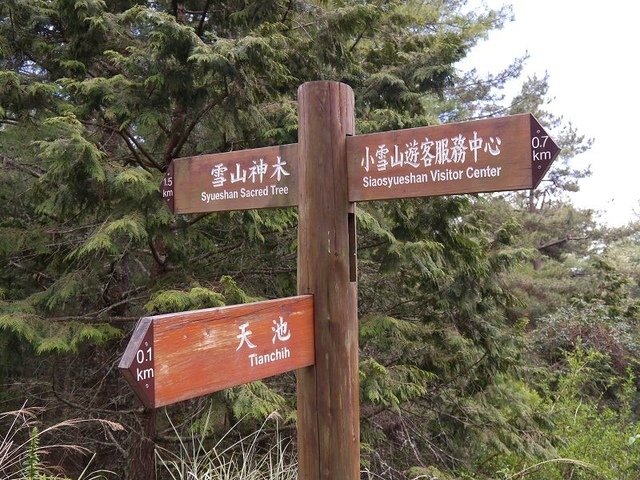 2019-04-26 12-56-12(001).jpg - 20190426_台中_大雪山森林遊樂區_雪山神木