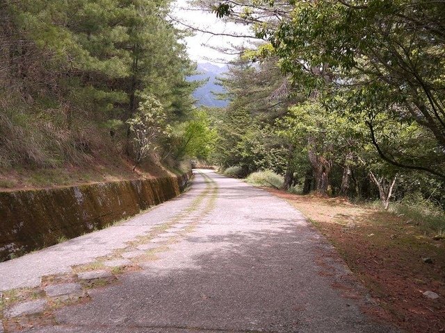 2019-04-26 13-03-26(001).jpg - 20190426_台中_大雪山森林遊樂區_雪山神木