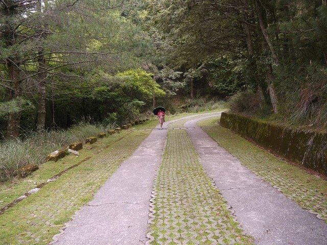 2019-04-26 13-25-61(001).jpg - 20190426_台中_大雪山森林遊樂區_雪山神木