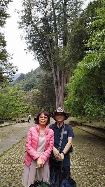 2019-04-26 13-36-40(001).jpg - 20190426_台中_大雪山森林遊樂區_雪山神木