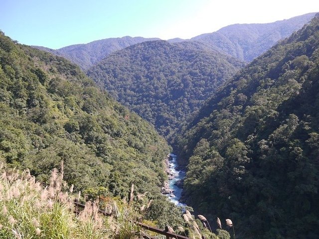 2018-02-15 11-13-36(001).jpg - 20180215_烏來_福山卡拉模基步道