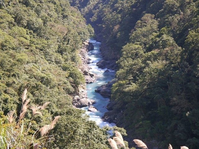 2018-02-15 11-13-44(001).jpg - 20180215_烏來_福山卡拉模基步道