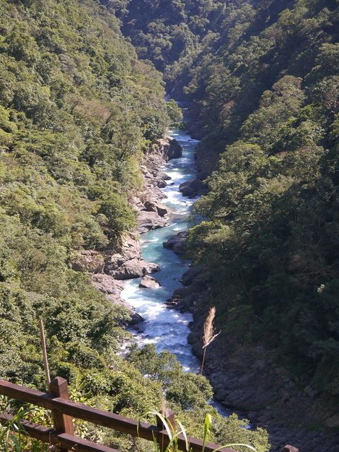 2018-02-15 11-14-44(001).jpg - 20180215_烏來_福山卡拉模基步道