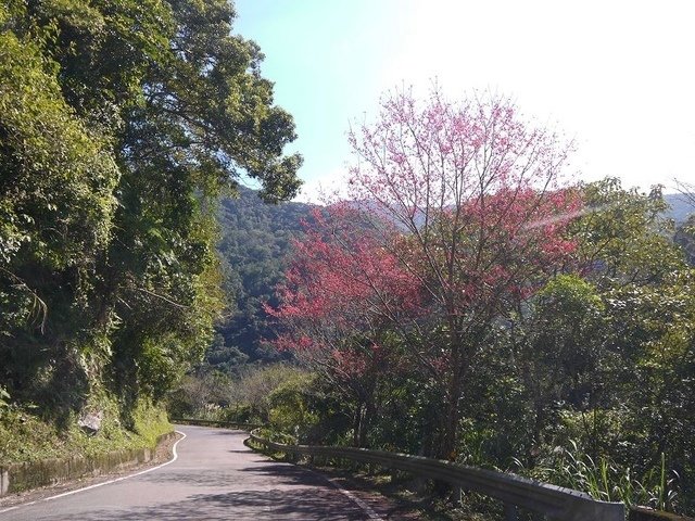 2018-02-15 11-16-08(001).jpg - 20180215_烏來_福山卡拉模基步道