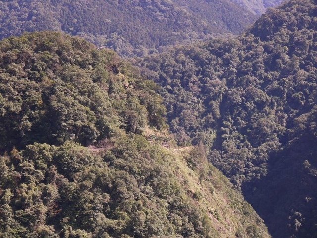 2018-02-15 11-23-15(001).jpg - 20180215_烏來_福山卡拉模基步道