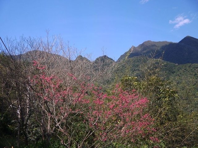 2018-02-15 11-29-59(001).jpg - 20180215_烏來_福山卡拉模基步道