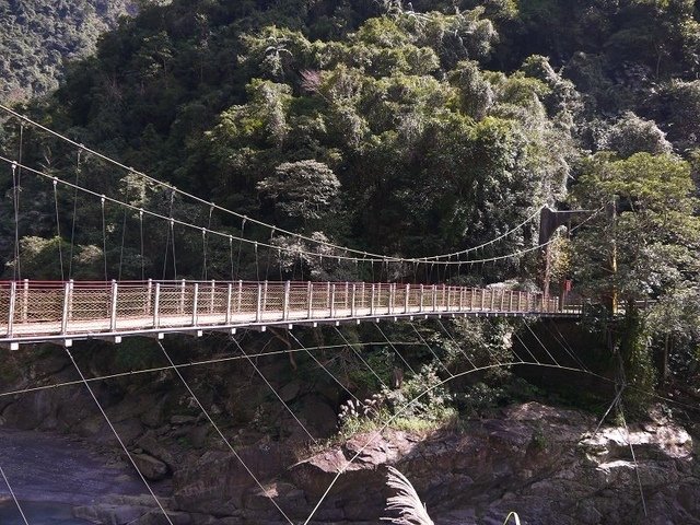 2018-02-15 11-42-40(001).jpg - 20180215_烏來_福山卡拉模基步道