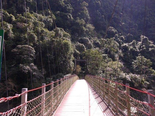 2018-02-15 11-43-01(001).jpg - 20180215_烏來_福山卡拉模基步道