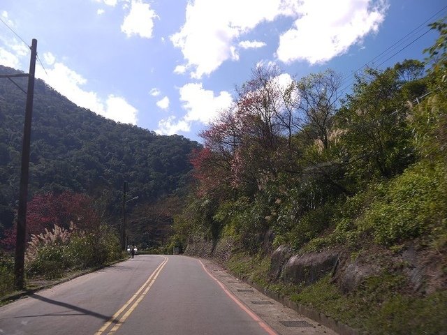 2018-02-15 11-57-35(001).jpg - 20180215_烏來_福山卡拉模基步道