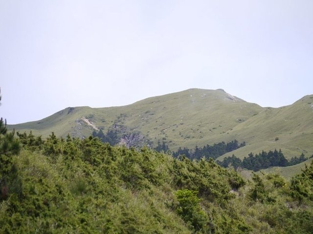 2017-06-25 11-19-16(001).jpg - 20170625_合歡山_合歡山小風口管理站