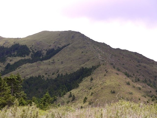 2017-06-25 11-34-32(001).jpg - 20170625_合歡山_合歡山小風口管理站