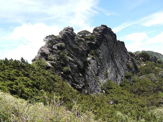 20160627_124258_(001).jpg - 20160627_花蓮_合歡山主峰步道_登頂